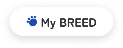 My BREED